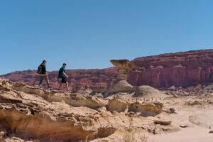 ishigualasto