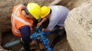 osse