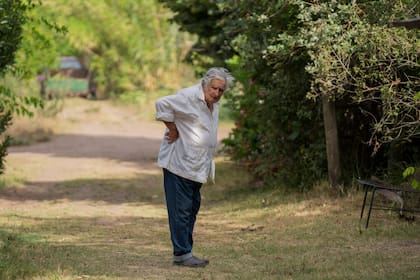 En el jardín de su casa en enero de 2023