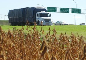 en-la-argentina-avanza-la-cosecha-de-RB4CF3R4HFAA7LVBJOIQN4OCMQ.jpg