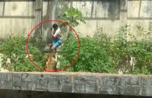 ataque-de-leona-en-zoologico-de-ZOEDTFWBKJE3NBLUSLVWYYEWME.jpg