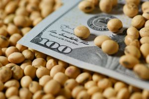 el-bcra-lleva-comprados-mas-de-usdollar8800-MMH3ONJGKZFXPCSMUMY3CYYCEA.JPG