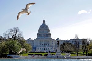el-capitolio-vivio-unas-horas-de-renovada-JKTXFM3IEVCGZDFT7AGMTT4E5M.jpg
