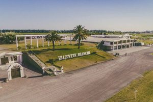 bodegas-bianchi-firmo-un-acuerdo-de-standstill-K32FUHEIVVFGBGBKQJZIKXP2UQ.webp.jpeg